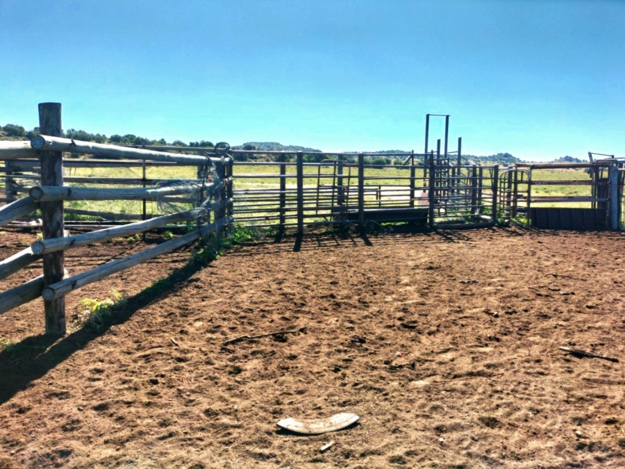 4 Bedroom Property for Sale in Bloemfontein Rural Free State